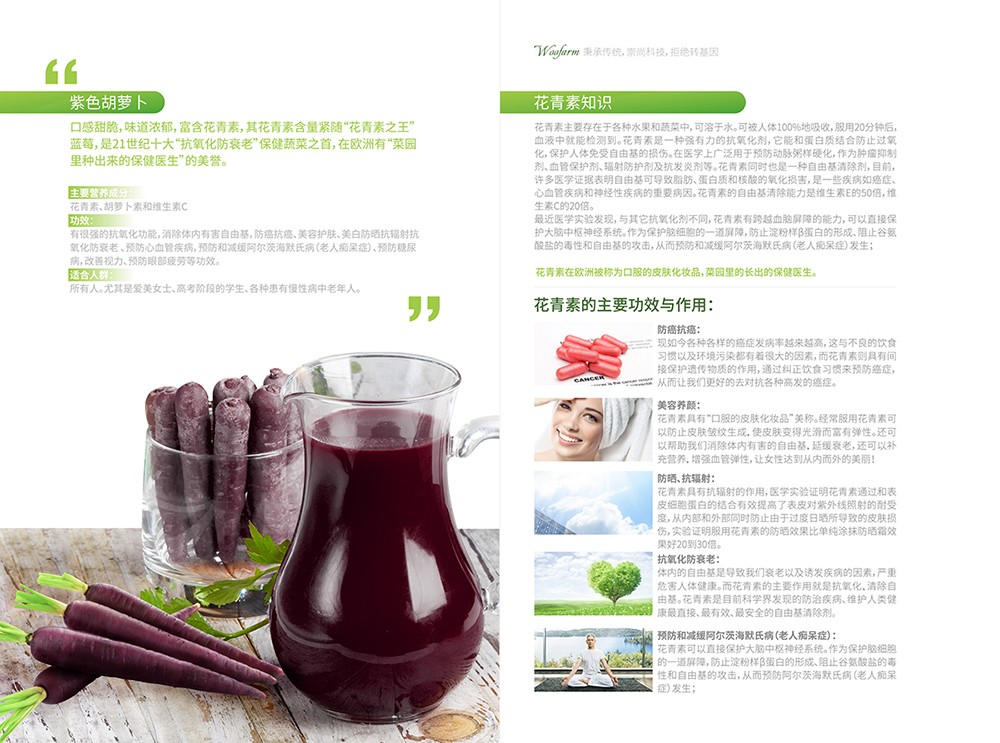 農(nóng)產(chǎn)品畫冊(cè)設(shè)計(jì),農(nóng)副產(chǎn)品畫冊(cè)設(shè)計(jì)公司 農(nóng)產(chǎn)品畫冊(cè)設(shè)計(jì),農(nóng)副產(chǎn)品畫冊(cè)設(shè)計(jì)公司