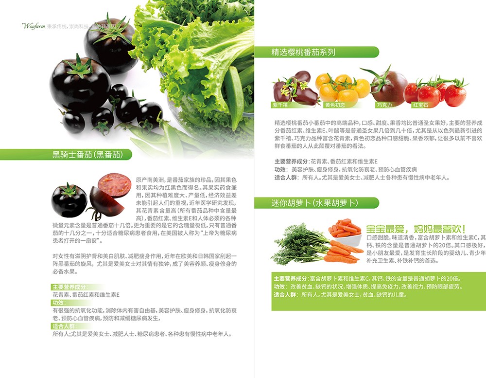 農(nóng)產(chǎn)品畫冊(cè)設(shè)計(jì),農(nóng)副產(chǎn)品畫冊(cè)設(shè)計(jì)公司 農(nóng)產(chǎn)品畫冊(cè)設(shè)計(jì),農(nóng)副產(chǎn)品畫冊(cè)設(shè)計(jì)公司