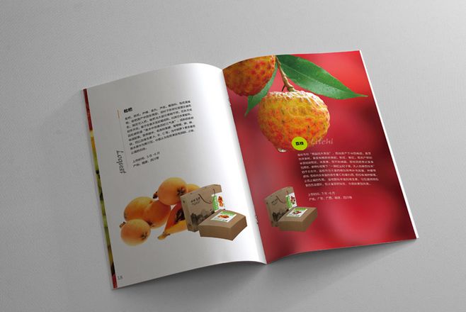 宣傳冊(cè)設(shè)計(jì)一般一頁(yè)多少錢(qián)？宣傳冊(cè)的特點(diǎn)有哪些？