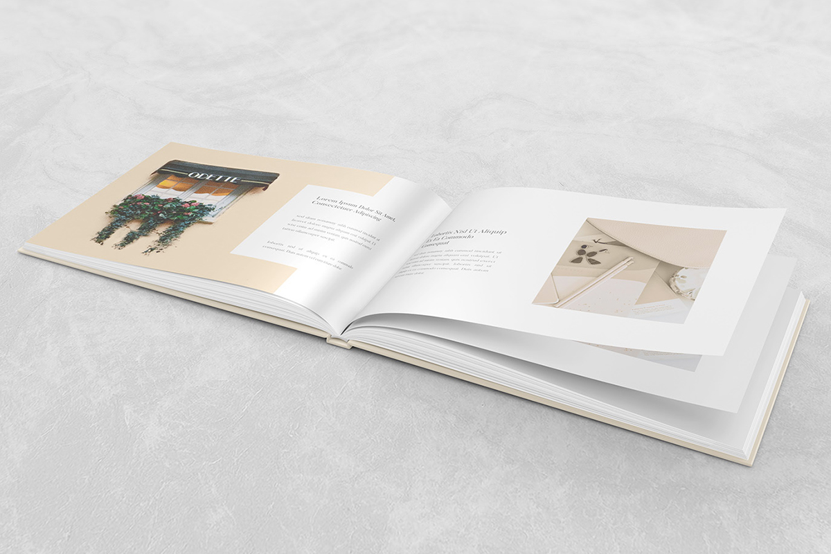 企業(yè)畫冊設(shè)計一本需要多少錢？如何制作企業(yè)畫冊？