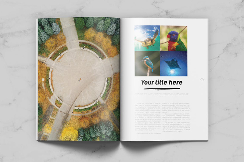 頂級畫冊設(shè)計公司都有哪些排版技巧？