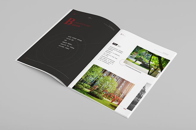 畫冊(cè)畫冊(cè)設(shè)計(jì)多少錢？畫冊(cè)設(shè)計(jì)有哪些排版？