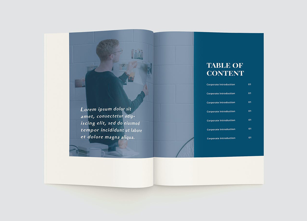 企業(yè)宣傳冊設(shè)計費(fèi)用是多少？詳解企業(yè)畫冊設(shè)計的收費(fèi)標(biāo)準(zhǔn)