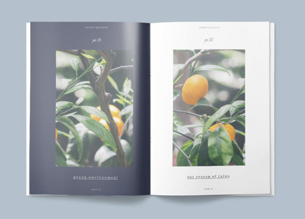 畫冊設(shè)計印刷多少錢？