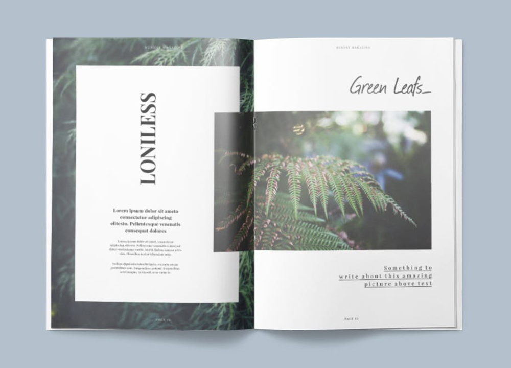 排版一般一頁多少錢？