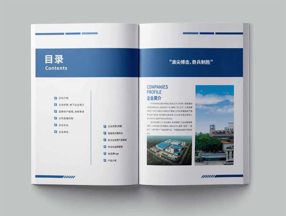 洗滌用品集團(tuán)冊設(shè)計,集團(tuán)冊設(shè)計公司