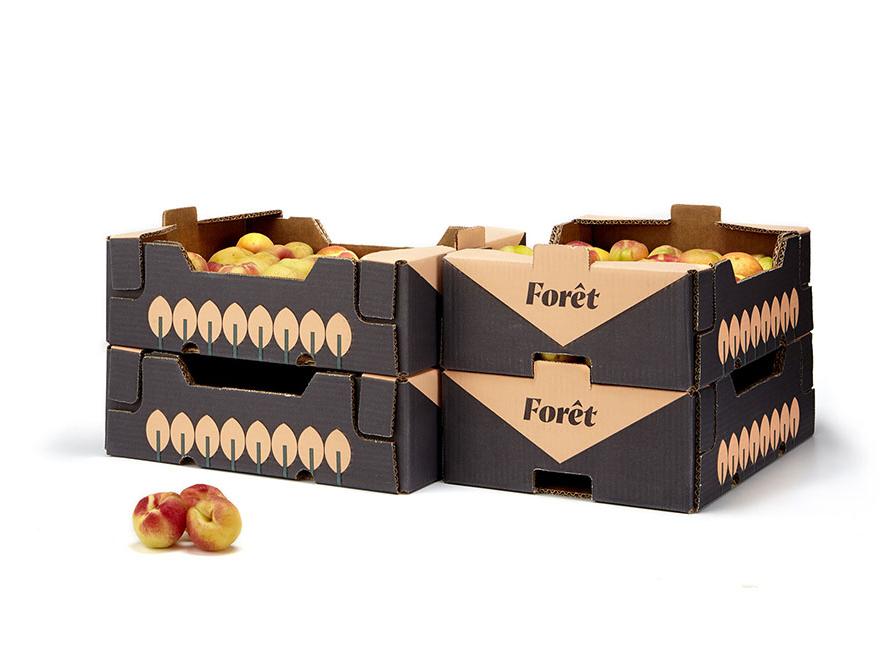 產(chǎn)品包裝設(shè)計(jì) 產(chǎn)品包裝設(shè)計(jì)