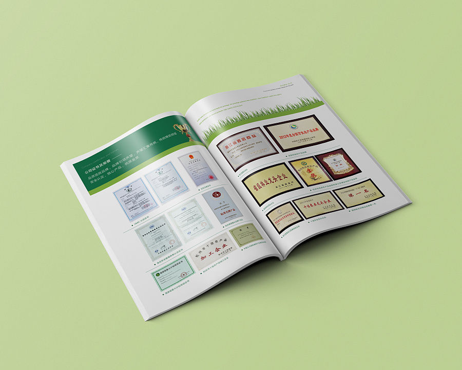 廣州企業(yè)形象設計 廣州企業(yè)形象設計