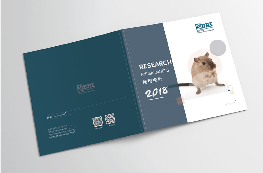 模型企業(yè)畫冊設(shè)計,模型企業(yè)畫冊設(shè)計公司 模型企業(yè)畫冊設(shè)計,模型企業(yè)畫冊設(shè)計公司