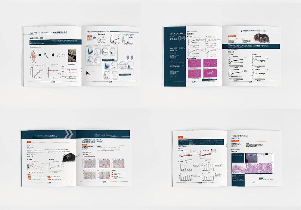 模型企業(yè)畫冊設(shè)計,模型企業(yè)畫冊設(shè)計公司 模型企業(yè)畫冊設(shè)計,模型企業(yè)畫冊設(shè)計公司
