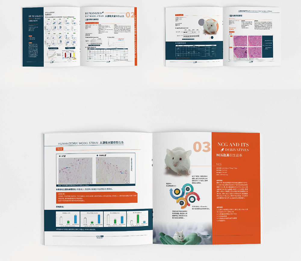 模型企業(yè)畫冊設(shè)計,模型企業(yè)畫冊設(shè)計公司 模型企業(yè)畫冊設(shè)計,模型企業(yè)畫冊設(shè)計公司