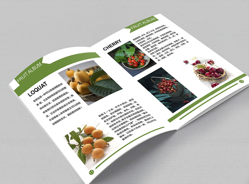 水果畫冊設(shè)計(jì),水果畫冊設(shè)計(jì)公司