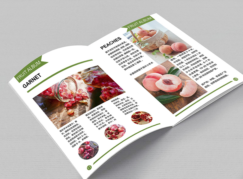 水果畫冊設(shè)計(jì),水果畫冊設(shè)計(jì)公司