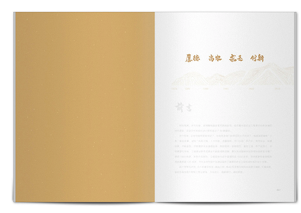 高端企業(yè)周年紀(jì)念冊(cè) 高端企業(yè)周年紀(jì)念冊(cè)