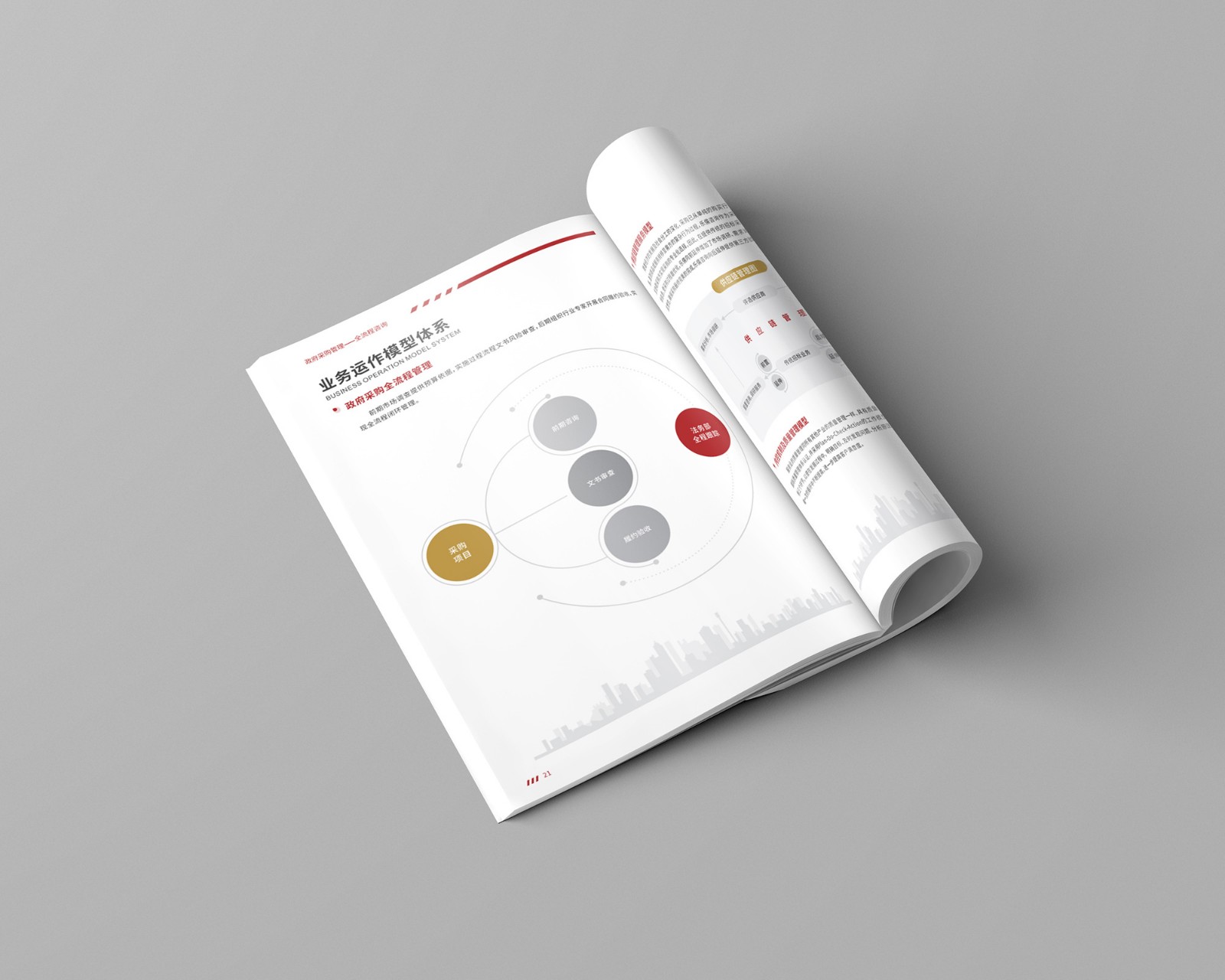 政府采購(gòu)公司畫冊(cè)設(shè)計(jì) 政府采購(gòu)公司畫冊(cè)設(shè)計(jì)