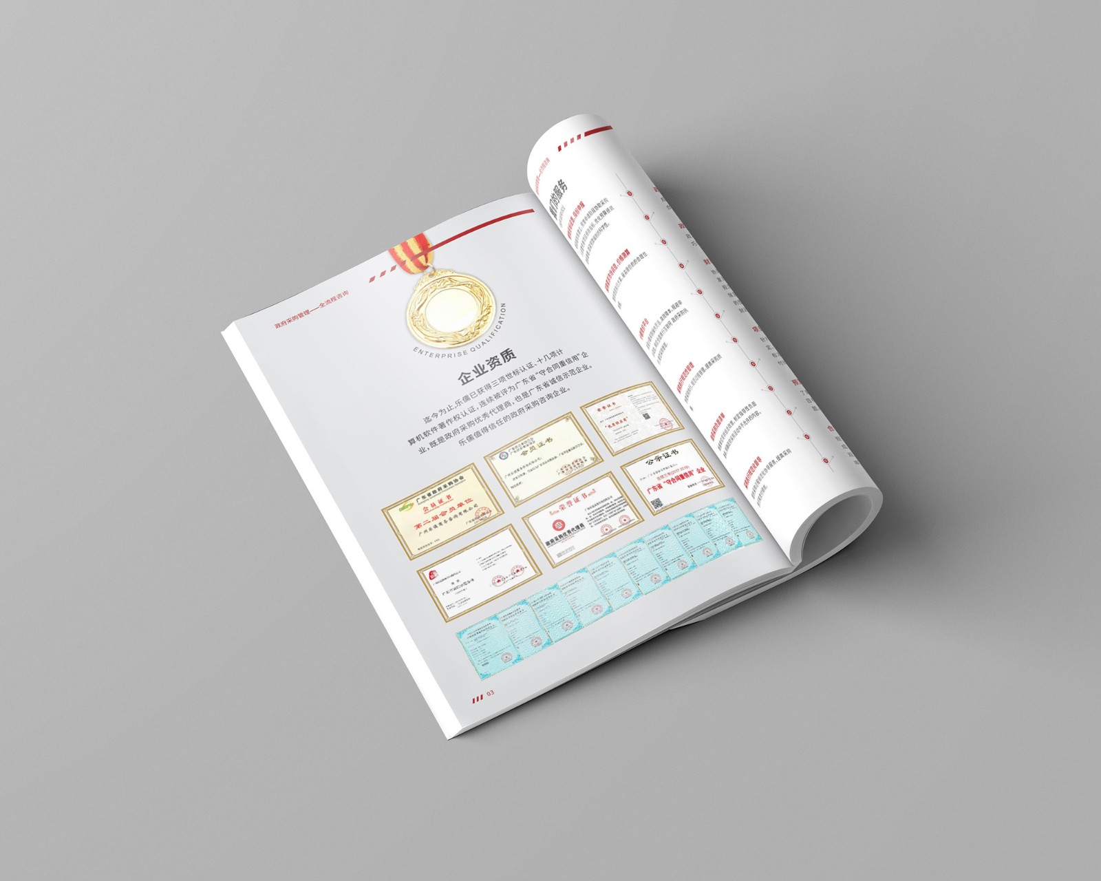 政府采購(gòu)公司畫冊(cè)設(shè)計(jì) 政府采購(gòu)公司畫冊(cè)設(shè)計(jì)