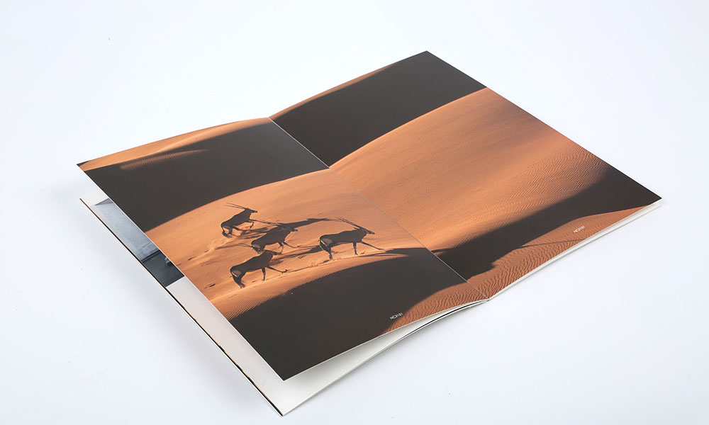 服裝企業(yè)畫(huà)冊(cè)設(shè)計(jì),服裝企業(yè)畫(huà)冊(cè)設(shè)計(jì)公司 服裝企業(yè)畫(huà)冊(cè)設(shè)計(jì),服裝企業(yè)畫(huà)冊(cè)設(shè)計(jì)公司