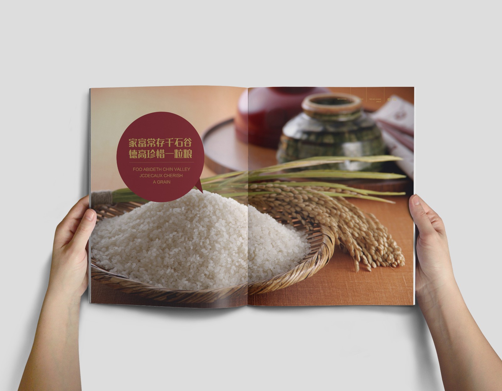 大米畫冊設(shè)計(jì),大米產(chǎn)品畫冊設(shè)計(jì),大米招商畫冊設(shè)計(jì) 大米畫冊設(shè)計(jì),大米產(chǎn)品畫冊設(shè)計(jì),大米招商畫冊設(shè)計(jì)