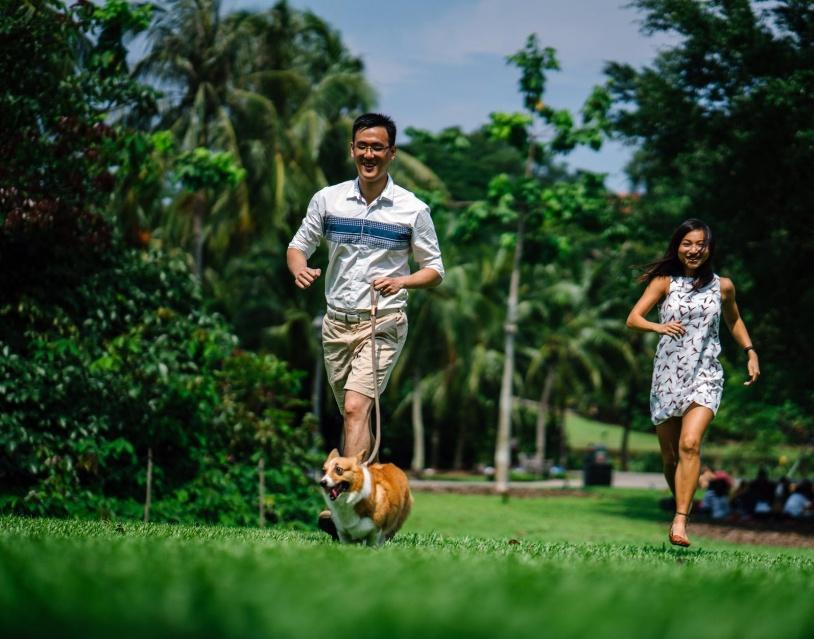 國外寵物創(chuàng)意產(chǎn)品設(shè)計 國外寵物創(chuàng)意產(chǎn)品設(shè)計