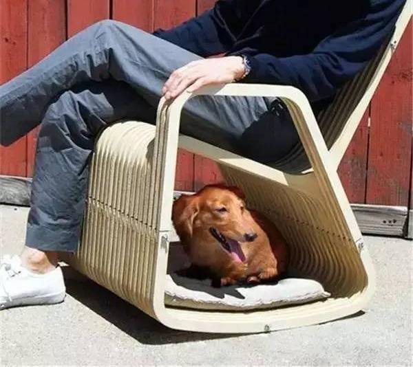 國外寵物創(chuàng)意產品設計都有哪些？這些設計受歡迎嗎？