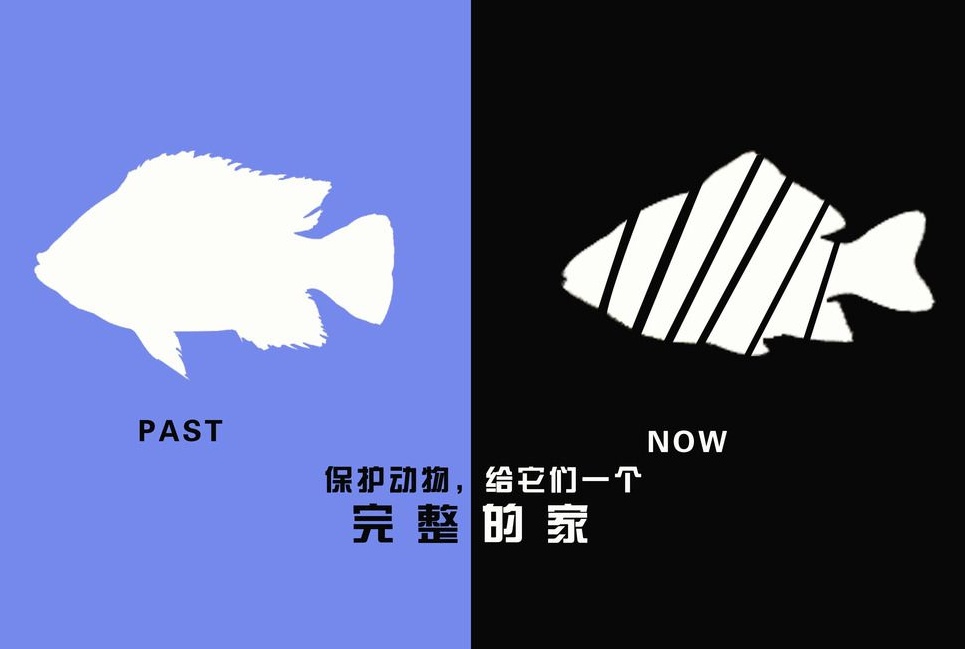 廣告設(shè)計(jì)制作有哪些要求？有哪些注意事項(xiàng)？