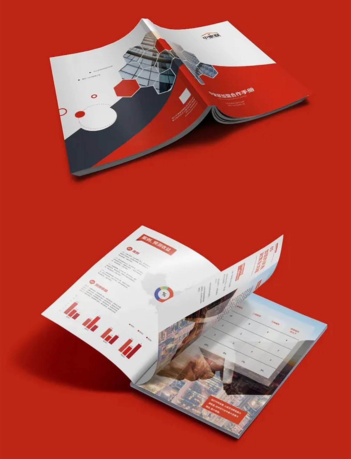 科技企業(yè)畫冊(cè)設(shè)計(jì),科技企業(yè)畫冊(cè)設(shè)計(jì)公司 科技企業(yè)畫冊(cè)設(shè)計(jì),科技企業(yè)畫冊(cè)設(shè)計(jì)公司