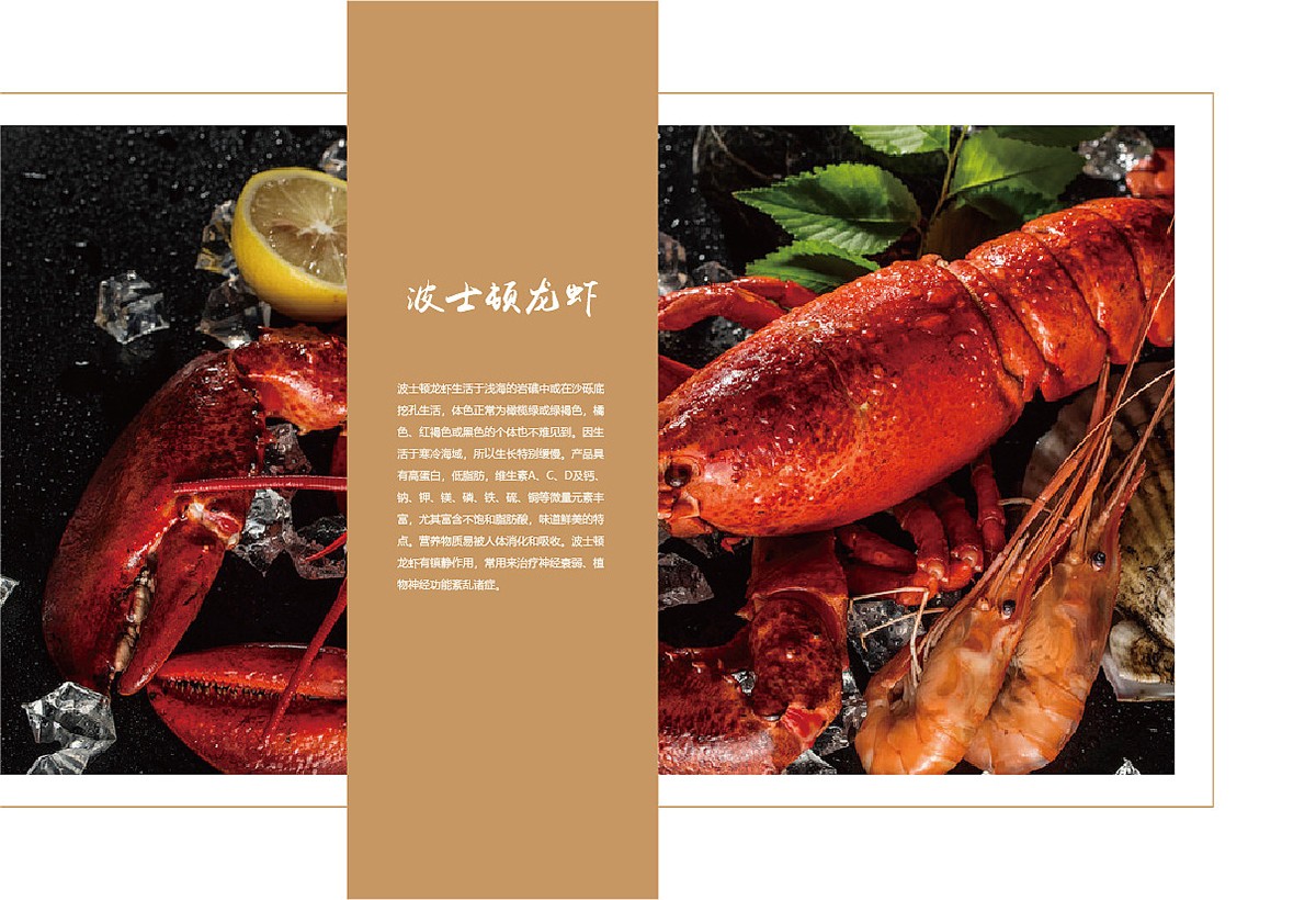 生鮮類產(chǎn)品宣傳冊設(shè)計(jì),生鮮類產(chǎn)品宣傳冊設(shè)計(jì)公司