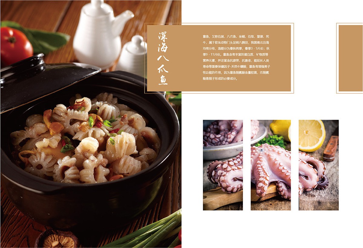 生鮮類產(chǎn)品宣傳冊設(shè)計(jì),生鮮類產(chǎn)品宣傳冊設(shè)計(jì)公司