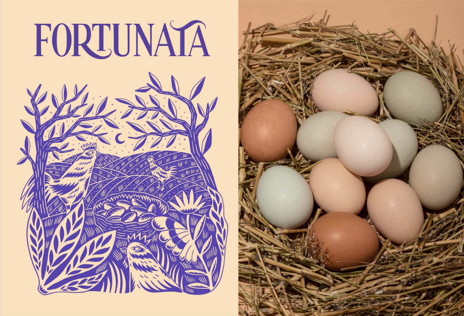 土雞蛋包裝設(shè)計(jì),土雞蛋包裝設(shè)計(jì)公司 土雞蛋包裝設(shè)計(jì),土雞蛋包裝設(shè)計(jì)公司