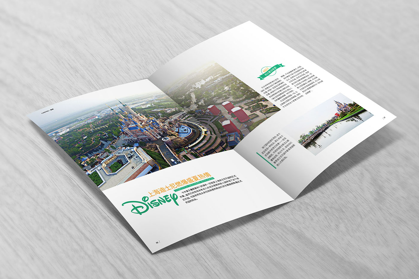 雜志期刊設(shè)計(jì),雜志期刊設(shè)計(jì)公司 雜志期刊設(shè)計(jì),雜志期刊設(shè)計(jì)公司