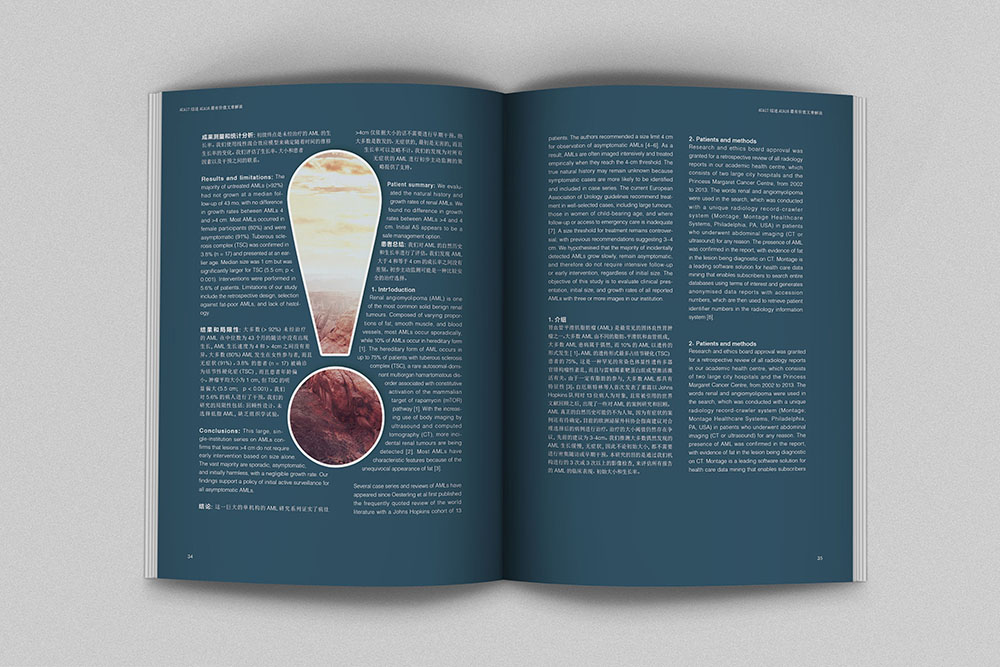 創(chuàng)意畫冊(cè)內(nèi)頁(yè)設(shè)計(jì),創(chuàng)意畫冊(cè)內(nèi)頁(yè)設(shè)計(jì)案例欣賞