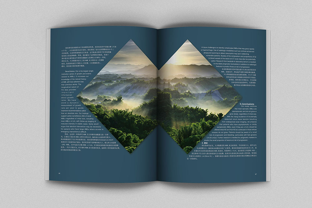 創(chuàng)意畫冊(cè)內(nèi)頁(yè)設(shè)計(jì),創(chuàng)意畫冊(cè)內(nèi)頁(yè)設(shè)計(jì)案例欣賞