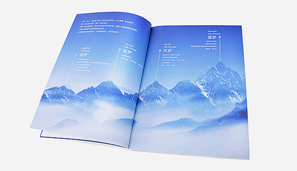 集團(tuán)畫冊設(shè)計(jì),集團(tuán)畫冊設(shè)計(jì)公司