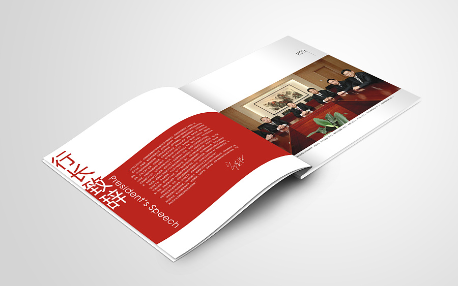 周年紀(jì)念冊 設(shè)計方案 周年紀(jì)念冊 設(shè)計方案