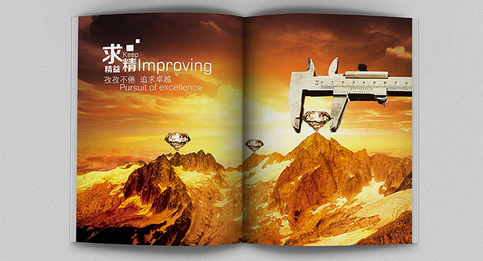 廣州地產(chǎn)招商行業(yè)畫冊-廣州地產(chǎn)招商畫冊設(shè)計(jì)-廣州地產(chǎn)招商畫冊設(shè)計(jì)公司