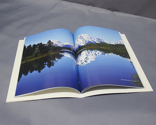 宣傳冊(cè)設(shè)計(jì)報(bào)價(jià)一般是多少？要考慮哪些因素？