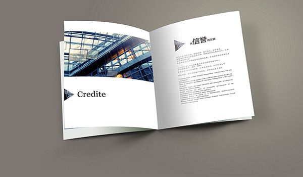 畫冊(cè)設(shè)計(jì)的傳播著企業(yè)品牌形象