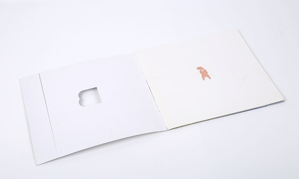 學(xué)會(huì)宣傳冊(cè)輸出需要多大？