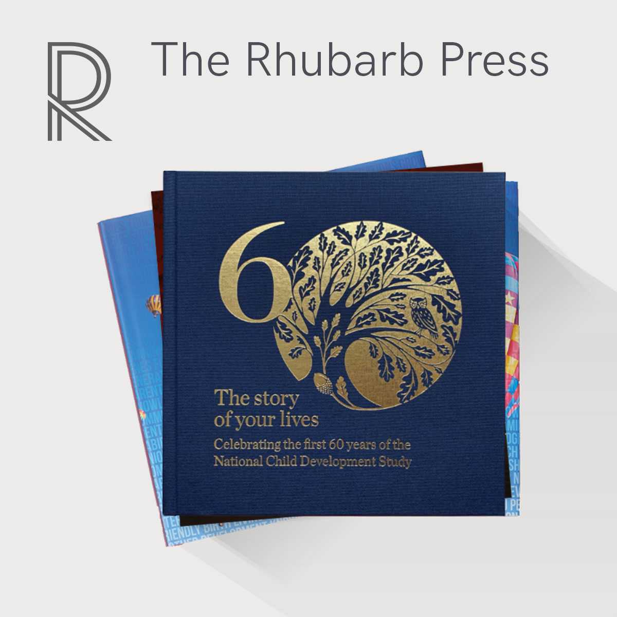 集團(tuán)印刷紀(jì)念相冊方案